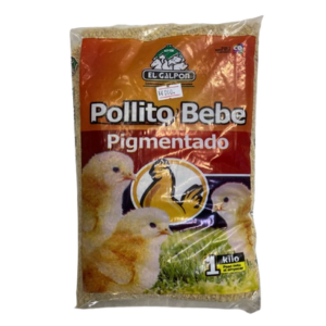 Pollo bebe pigmentado