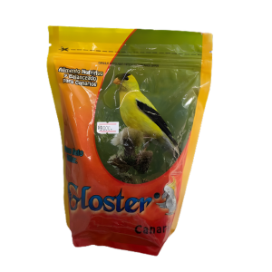 Gloster Canario