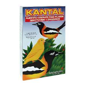 Kantal