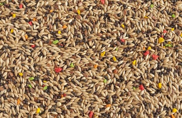 Mixtura de Aves