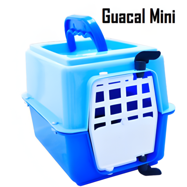 Guacal Tranpostrador Para Hamster