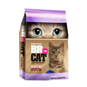 Br Cat Castrado