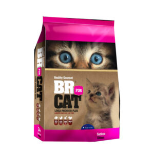 Br Cat Gatito