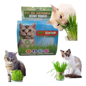 Kit de Siembra Pasto Gatuno