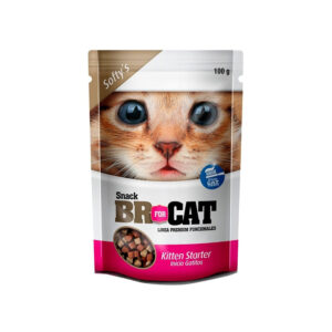Snack Br Cat Gatito 100gr