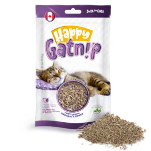 Snack Happy GatNip 1Oz