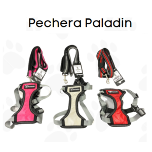 Arnés de Seguridad Paladín