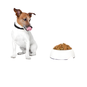 Alimentos y Snacks