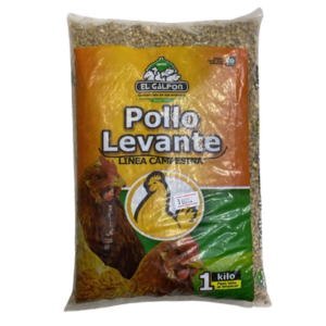 Pollo levante
