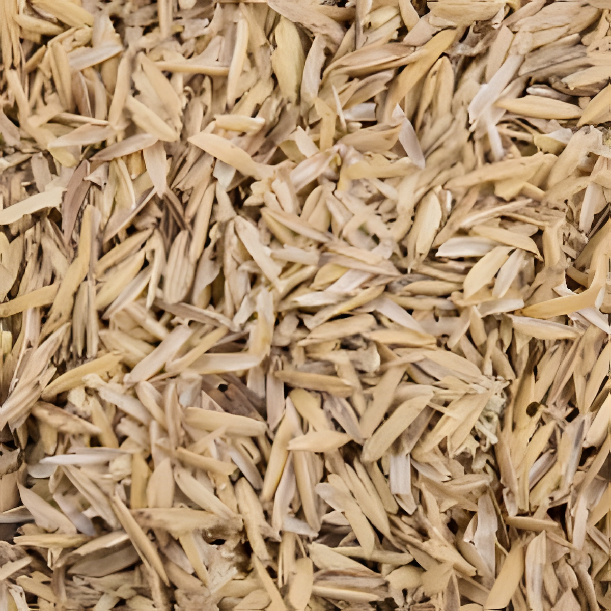 Sustrato Cascarilla De Arroz Para Roedores